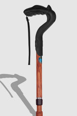 Ergocane 2G